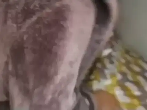 Snapshot of Chandy012 chatting on 09/19/25, 01:12 Chandy012 online show from 09/19/25, 01:12