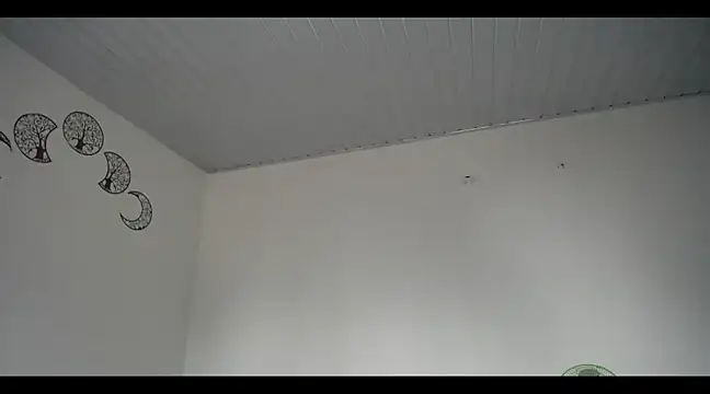 Snapshot of lana_roman chatting on 03/20/25, 08:08 lana roman online show from 03/20/25, 08:08