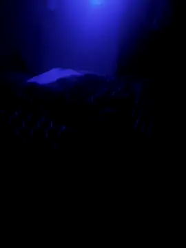 Raziv komal143 online show from 02/26/25, 12:16