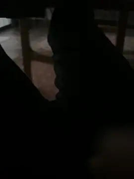 Enrrre online show from 04/16/26, 10:56