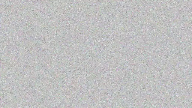 Elsa-bad online show from 02/22/25, 11:24