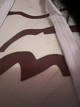 Snapshot of ValeriaOrtega chatting on 04/14/26, 11:38 ValeriaOrtega online show from 04/14/26, 11:38