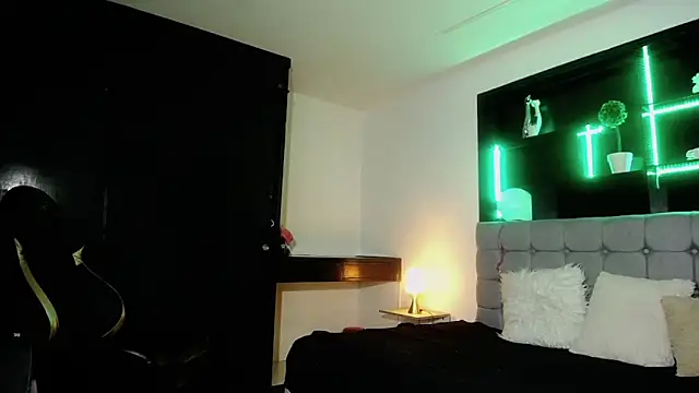 Kitten Cam online show from 02/20/25, 05:33