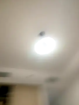 Snapshot of SexySophiaax chatting on 10/20/25, 01:00 SexySophiaax online show from 10/20/25, 01:00