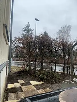 Ciara2004 online show from 02/11/26, 01:27