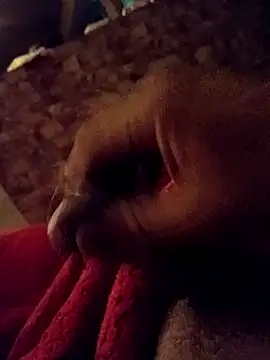 Snapshot of srecet chatting on 02/01/25, 09:43 srecet online show from 02/01/25, 09:43