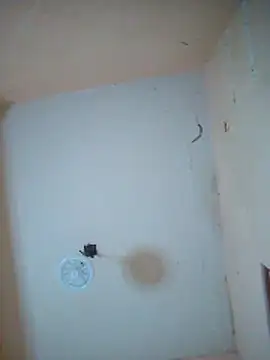 Snapshot of LuisMex1998 chatting on 11/14/25, 02:21 LuisMex1998 online show from 11/14/25, 02:21