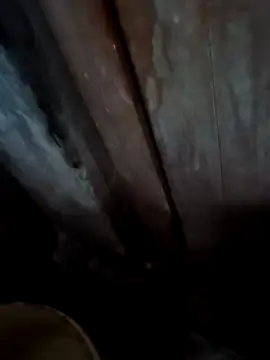 Raj41 online show from 11/28/25, 01:19