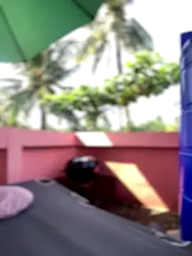 Snapshot of White_Lu chatting on 09/25/25, 02:04 White Lu online show from 09/25/25, 02:04