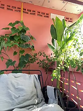 White Lu online show from 04/14/26, 02:17