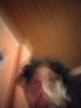 Nooneisthis online show from 02/02/25, 07:20