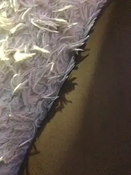 staroill online show from 02/20/25, 11:42