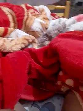 mhmia online show from 02/06/25, 01:16