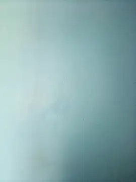 randit7 online show from 03/01/25, 06:35