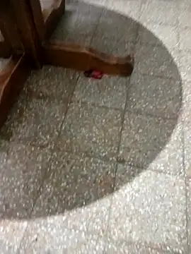 parejarica420 online show from 03/06/26, 08:38