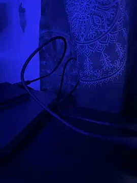 Snapshot of luiriv04 chatting on 03/14/25, 08:42 luiriv04 online show from 03/14/25, 08:42