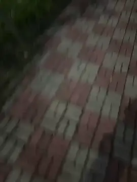 Phil 6677 online show from 10/12/25, 06:51