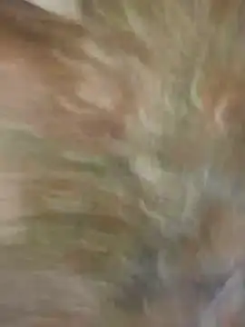 Snapshot of Santiago-Thompson chatting on 01/26/25, 08:23 Santiago-Thompson online show from 01/26/25, 08:23