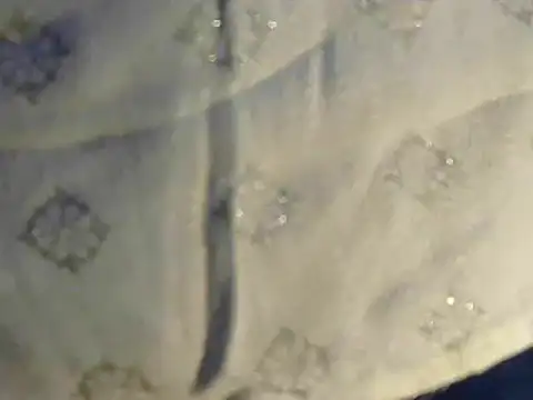 Cutie Pie1p online show from 03/19/25, 08:34