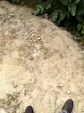 xmanrawan2 online show from 01/30/25, 10:50