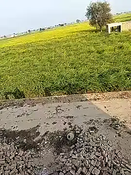 xmanrawan2 online show from 02/02/25, 10:57