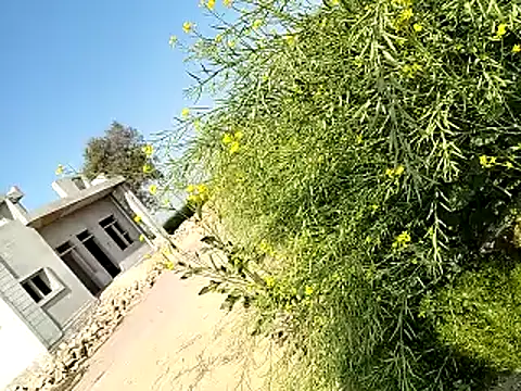 xmanrawan2 online show from 02/06/25, 06:29