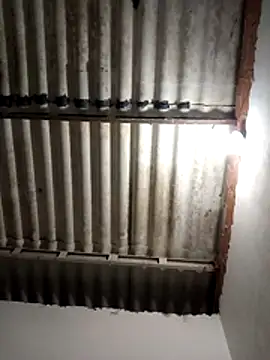 LoonyIdiot online show from 04/08/26, 03:17