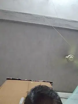 birds0641 online show from 10/12/25, 05:56