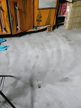 birds0641 online show from 04/27/26, 06:17