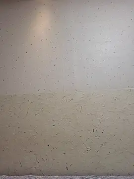 Tyyyggjju online show from 10/20/25, 07:03