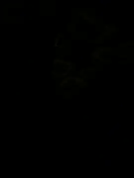 jhonnes  online show from 01/11/26, 03:33