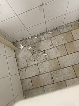 wadmma online show from 11/19/25, 08:47