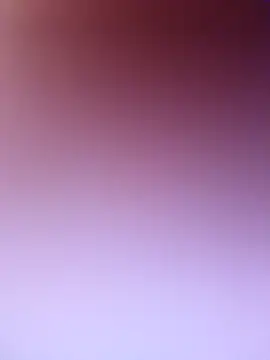 wadmma online show from 02/19/26, 07:48