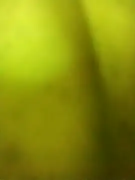 Snapshot of alicnonave chatting on 11/27/25, 12:02 alicnonave online show from 11/27/25, 12:02