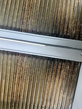 Nikki vega online show from 01/10/26, 08:21