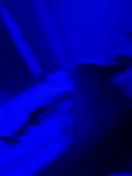 bigbola304 online show from 03/31/26, 02:13