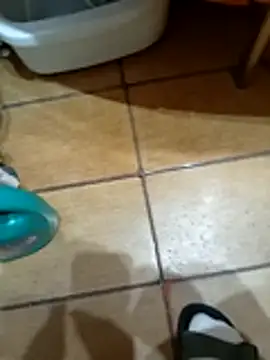 NAvoglia online show from 03/12/26, 11:55