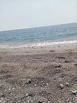 NAvoglia online show from 07/14/26, 01:28