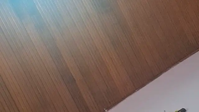 Snapshot of kyliebigboobs chatting on 09/30/25, 02:00 kyliebigboobs online show from 09/30/25, 02:00