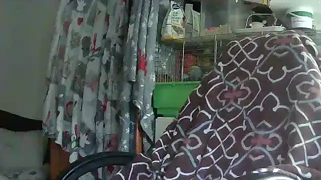 Cicamica12 online show from 05/15/26, 04:25