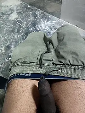 Snapshot of omni_333 chatting on 01/19/26, 04:33 omni 333 online show from 01/19/26, 04:33