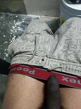 Snapshot of omni_333 chatting on 02/04/26, 01:17 omni 333 online show from 02/04/26, 01:17