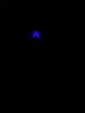 Avignon1963 online show from 05/26/26, 10:11