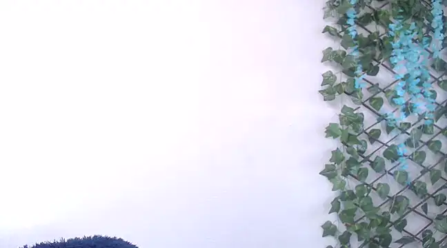 7 Saturno 7 online show from 02/13/25, 12:43