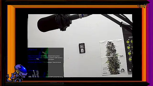 Snapshot of ReyDeBotones chatting on 03/13/25, 11:38 ReyDeBotones online show from 03/13/25, 11:38