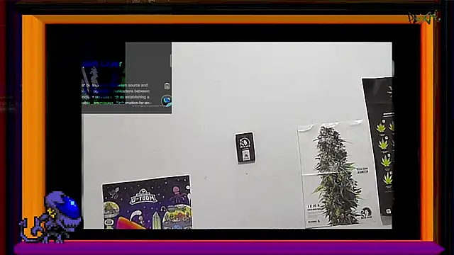 Snapshot of ReyDeBotones chatting on 03/14/25, 09:00 ReyDeBotones online show from 03/14/25, 09:00