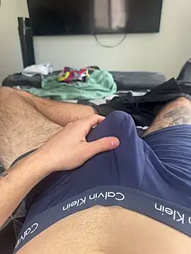 Bicho13132 online show from 02/18/26, 05:09