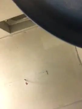 cumcum94 online show from 02/17/26, 07:53