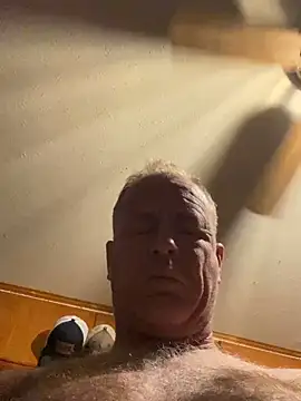 hintly online show from 02/17/26, 12:34