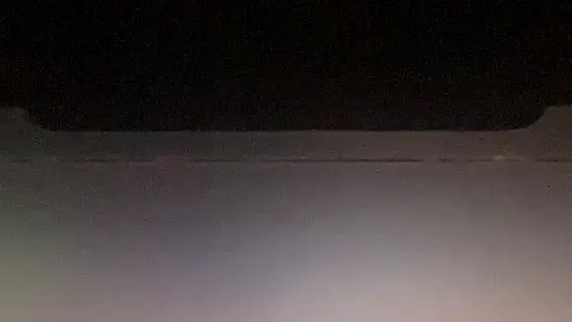 LeoLovelyDick online show from 01/13/26, 08:36